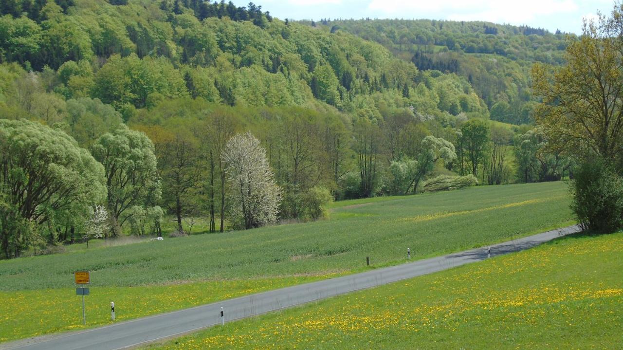Ferienwohnung Csilla Unterweid Esterno foto